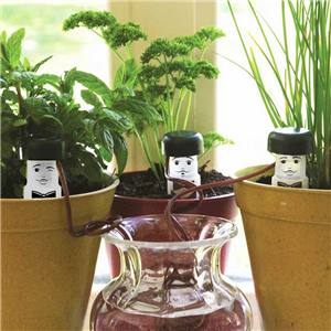 Haxnicks Water Waiters x3